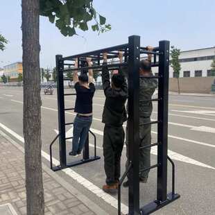 免固定室内单双杠健身平梯户外肋木架云梯家用室外成人儿童瑜