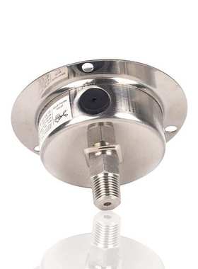 不锈钢压力表充油耐振轴向带前边USA YN60BF 16BAR 240PSI 1/4PT
