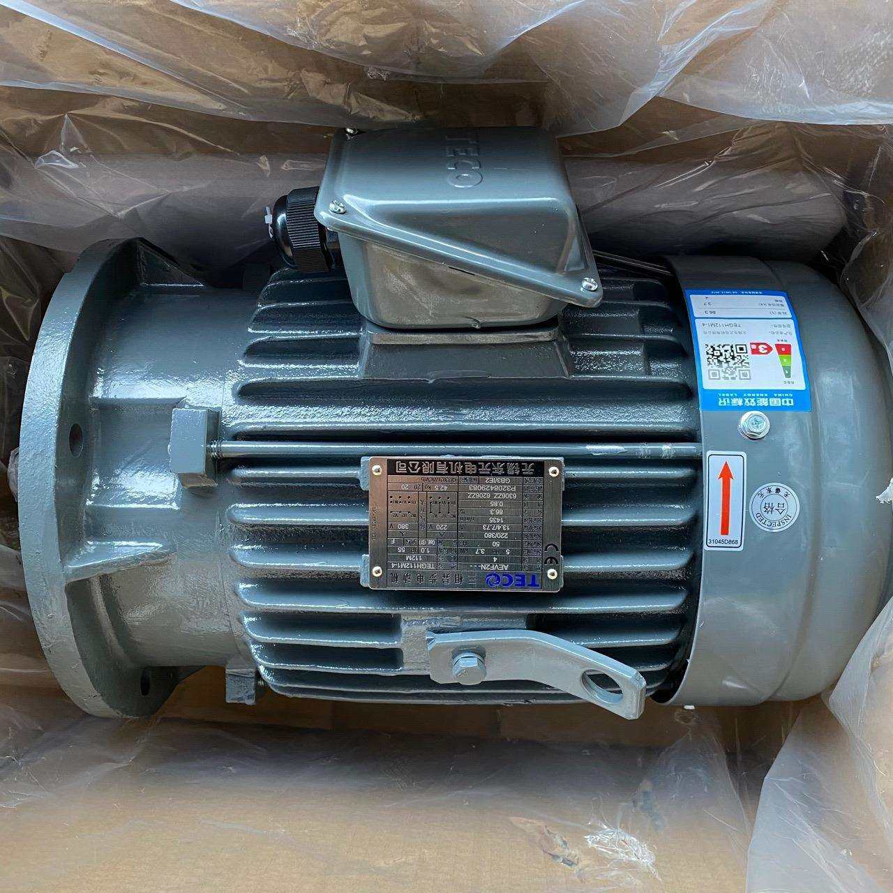 TECO东元电机TEGH112M1-43.7KW4PAEVF2N