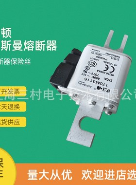 全新原装快速熔断器保险丝170M3116 170M3117 170M3118 170M3119