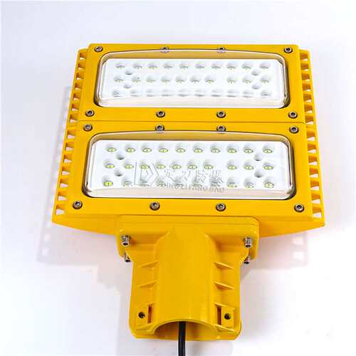 厂家直销防爆路灯5060直径80W100W6m8m单臂加油站高杆led灯