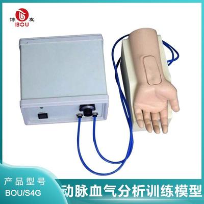 高级动脉血气分析训练模型触诊桡动脉手感真实血液流动模型人