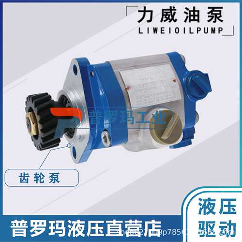 QC22/15-WD12件号612600130512力威汽车油泵叉车动力泵潍柴转向泵