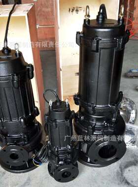 WQ潜污泵 250WQ600-12无堵塞工程污水提升排污泵 250mm潜水泵