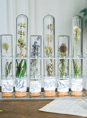 玻璃试管干花手作样板间书房桌面摆件现代实验风植物标本道具礼物