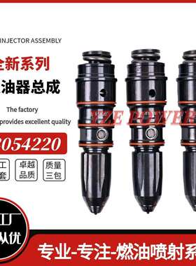 康-明斯发动机 NTA855喷油器3054220油嘴3054219柴油配件4914308