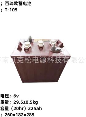 百瑞欧蓄电池 T-105 6v225ah 堆高车 洗地机 升降平台专用 水电瓶