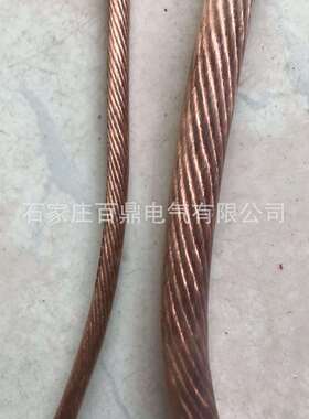 过载保护接地线 TJR50mm2大电流带透明绝缘皮接地线 避雷针地线