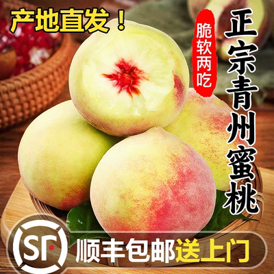 顺丰次日达！现摘青州蜜桃5斤脆