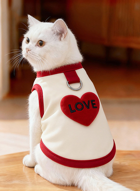 猫咪衣服秋冬保暖可爱背心卫衣猫猫幼猫德文中小型犬狗狗宠物衣服