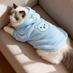 猫咪衣服可爱卫衣保暖幼小猫专用猫猫的衣服德文猫衣服冬装防掉毛