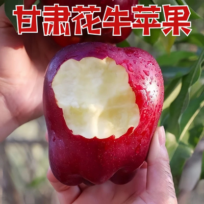 甘肃苹果9斤天水花牛苹果老人小孩面粉花牛苹果新鲜水果红蛇苹果