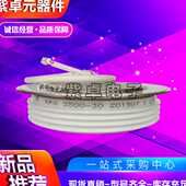 功率二极管 36南车中车电力半导体大功率可控硅晶闸管 KPX 1600