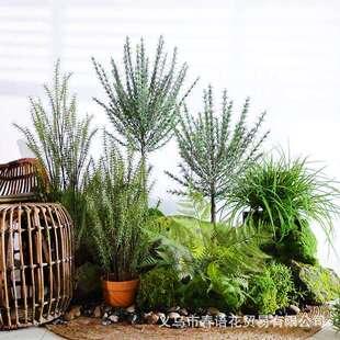 假绿植仿真植物迷迭香盆栽室内户外露营风造布景民宿酒店橱窗装饰