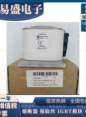 巴斯曼170M7034 170M7035 170M7036全系列BUSSMANN熔断器1700A