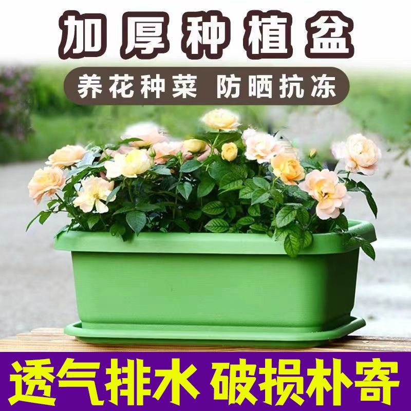 阳台种菜盆专用箱家用大号蔬菜种植箱塑料长方形庭院户外加厚花盆,农机/农具/农膜,育苗盘/营养钵,淘宝优惠券,粉丝福利购,淘宝优惠卷