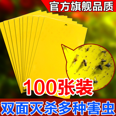 100张双面粘虫板果园换班大棚黄板诱虫蓝板纸贴黄色灭小飞虫蓟马