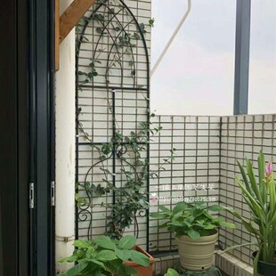 可拆式欧式屏风 铁线莲月季花幕架 植物爬藤架 花插片2种规格