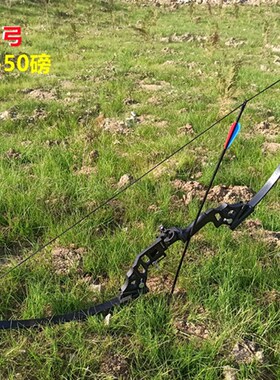 反曲弓弓箭射击运动专业射箭套装传统复合弓户外高精度弓合金弓把