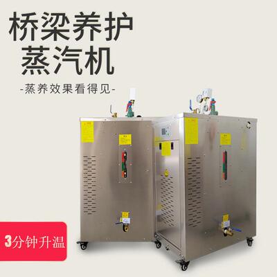 多种功率电加热蒸汽发生器 桥梁养护蒸汽发生器 混凝土蒸养机