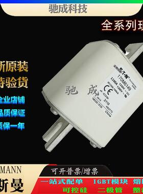 巴斯曼170M6149 170M6150 170M6151 大量现货批零兼营 快熔保险丝