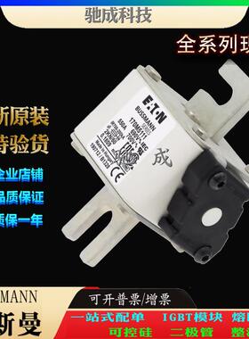 巴斯曼170M5108 170M5109 170M5110 现货供应厂价直供 特种保险丝