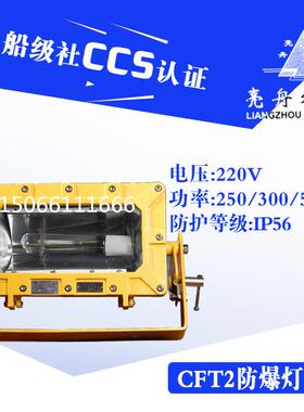上海 船用防爆投光灯CFT2铝质铜质网罩IP56带镇流器400W/500W