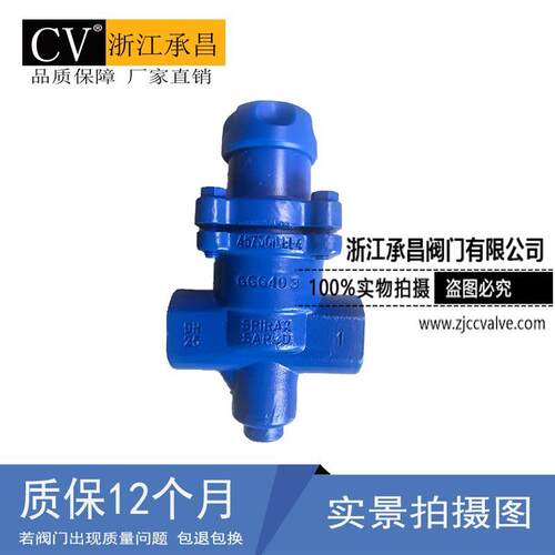 BRV2S直接作用可调式内螺纹蒸汽压阀替斯派莎克