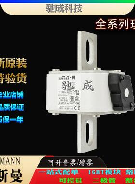 巴斯曼170M6666 170M6667 170M6668 厂家原装优价供应 快熔保险丝