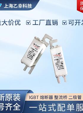 巴斯曼熔断器 170M1535 170M1558 170M1559 170M1560 170M1561