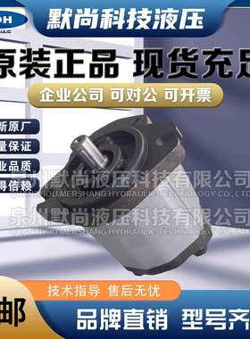 大众高压油泵SDH齿轮泵CBDs-F304/306/308/310/312/314/316液压泵