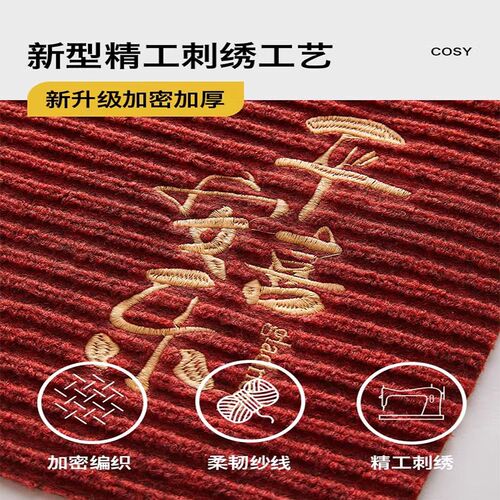 入户门地垫2024年新款地毯门垫进门轻奢高级感厨房门口防滑踩脚垫