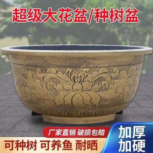 一米二超大花盆荷花专用盆缸特大口径养睡莲塑料水培铜钱草养鱼缸