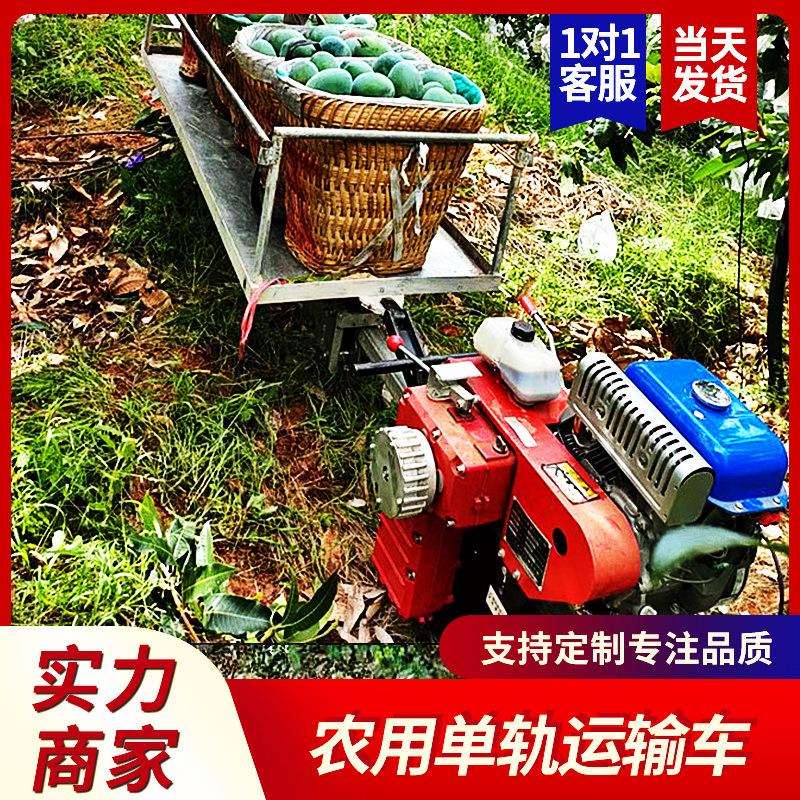 山地果园农用爬山车 多功能山地单轨运输车 装卸爬坡运输牵引车