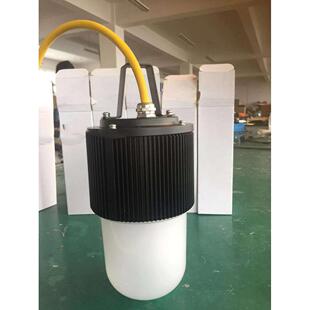 50WLED防爆行灯12V24V36V大功率防爆行灯FW6320防水防尘防摔