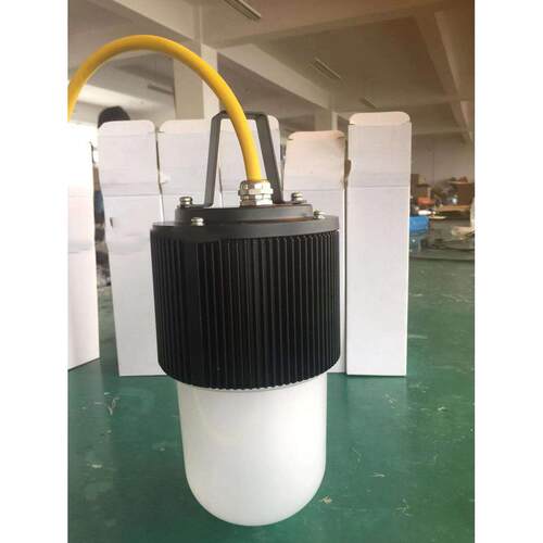 50WLED防爆行灯12V24V36V大功率防爆行灯FW6320防水防尘防摔