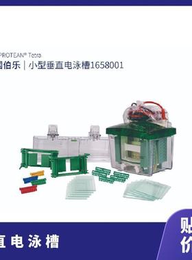 伯乐小型垂直电泳槽1658001工作温度0-40°C数量994块