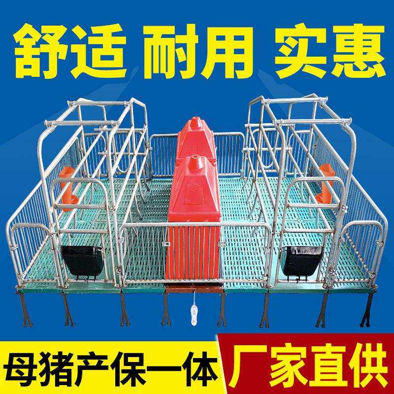 母猪产床保育床一体两用双体猪用限位栏定位栏复合板漏粪养殖设备