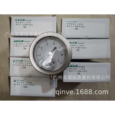 GV50-123压力表，NKS压力表