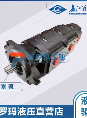 四川长江液压齿轮泵 CBL5100 CBL5200 CBL5180-A1R A1L B1R B1L
