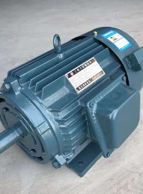 浙江瑞安鸿祥电机YLJ112-10N-8极卧三相力矩式电动机