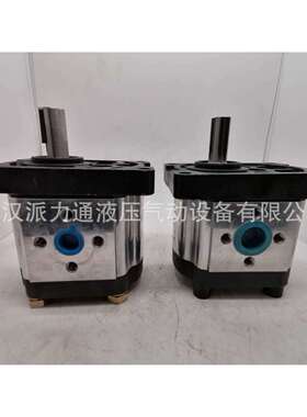 上海SDH液压齿轮泵CBTt-F310F3P7CBTt-F304F3P7CBTt-F316F3P7325