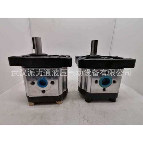 上海SDH液压齿轮泵CBTt-F310F3P7CBTt-F304F3P7CBTt-F316F3P7325