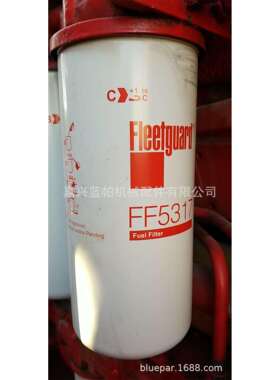 燃油滤芯FF5317 适用船用发动机柴油滤芯FF5317 1R0755