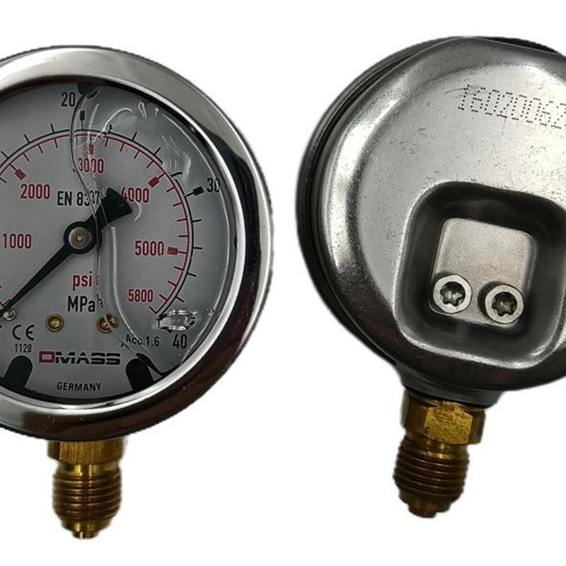 压力表DMASS德玛仕EN837-1德国耐震YN60 MBBL06B-060-1-Z 6MPA
