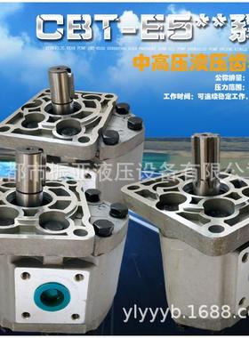 CBN齿轮油泵CBT-E520 E525 E532 E540 E550 E563 E580-BFHL BFPR