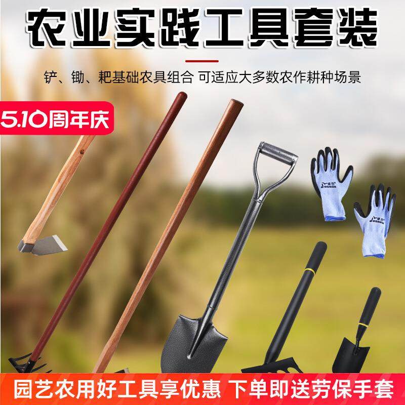 农用种植套装种菜农业实践工具学生劳动农具挖土铲子锄头除草,鲜花速递/花卉仿真/绿植园艺,园艺用品套装,淘宝优惠券,粉丝福利购,淘宝优惠卷