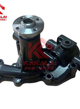 119810-42002 119810-42001水泵用于3D82AE 3D82E 3D75N 3D78N