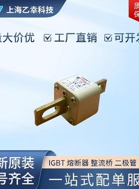 巴斯曼熔断器 170M4688 170M4689 170M4690 170M4691 170M4692