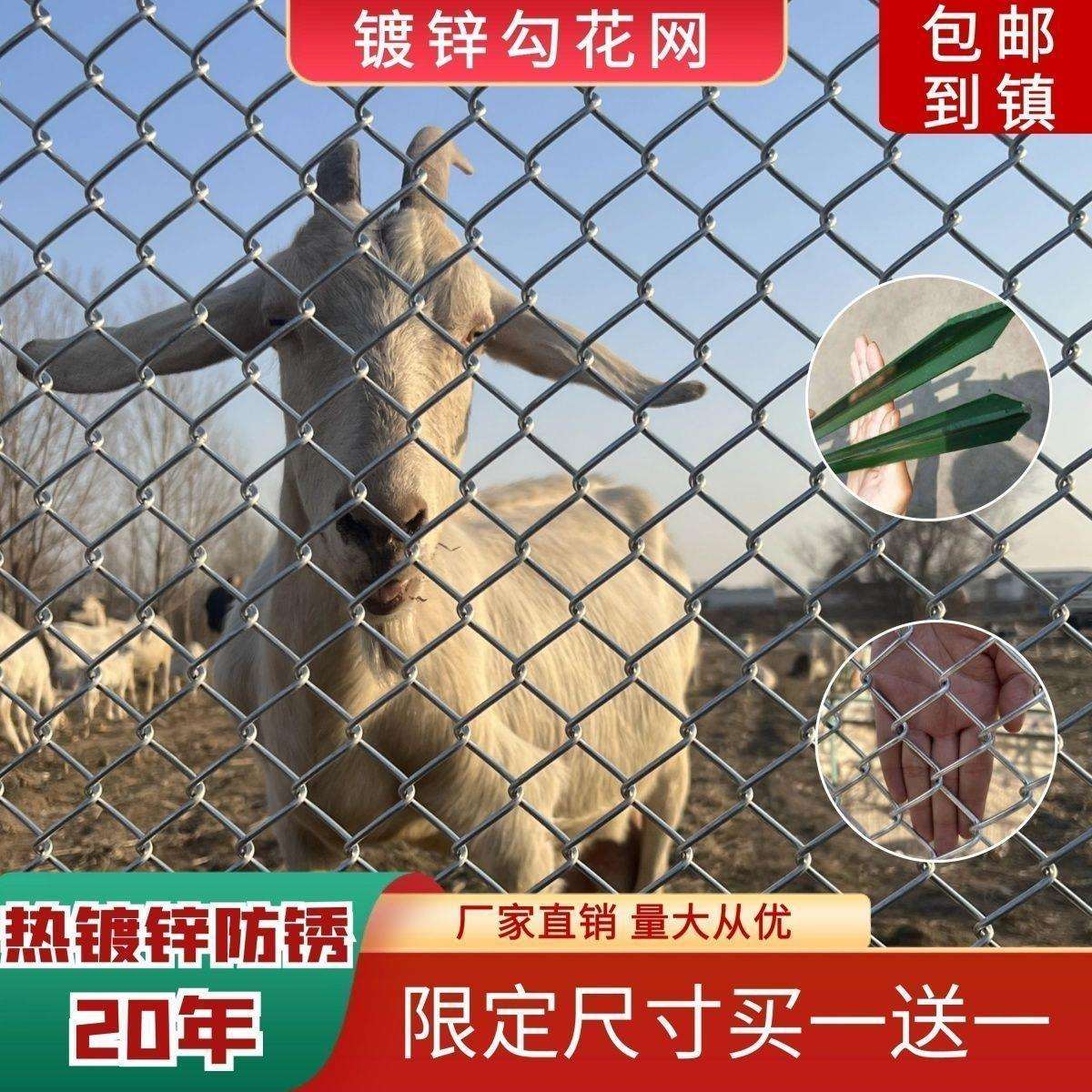 热镀锌铁丝网围栏网养鸡狗牛羊养殖网勾花网钢丝网户外防锈防护网